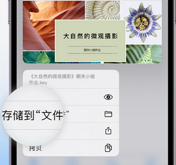 叙永apple维修中心分享iPhone文件应用中存储和找到下载文件