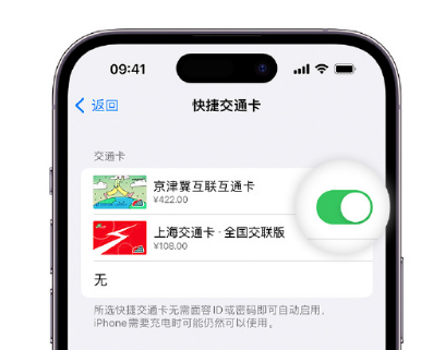 叙永apple维修点分享iPhone上更换Apple Pay快捷交通卡手绘卡面 