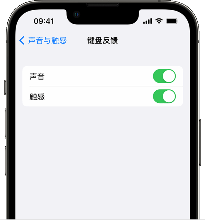 叙永苹果14维修店分享如何在 iPhone 14 机型中使用触感键盘 