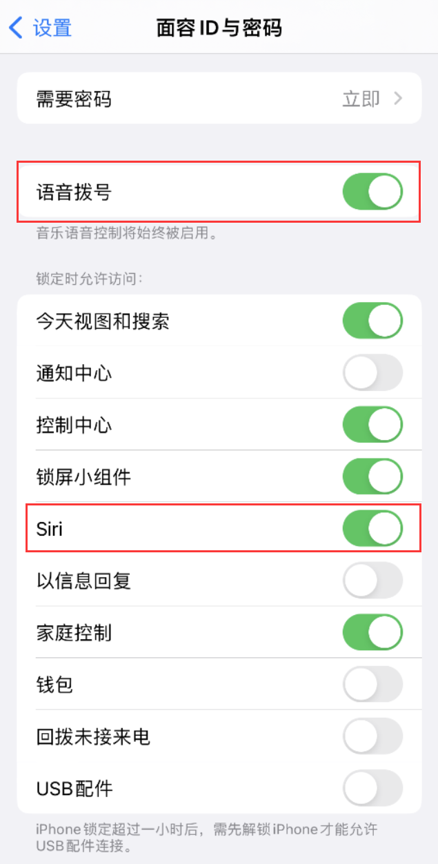 叙永苹果维修网点分享不解锁 iPhone 的情况下通过 Siri 拨打电话的方法 