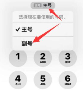 叙永苹果14维修店分享iPhone 14 Pro Max使用副卡打电话的方法 