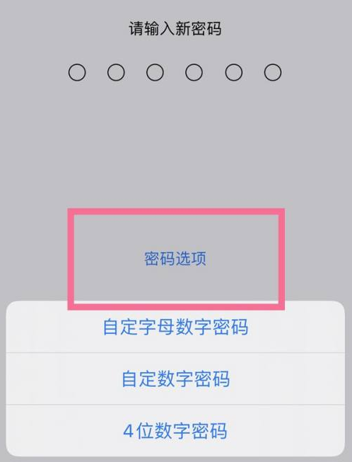 叙永苹果14维修分享iPhone 14plus设置密码的方法 