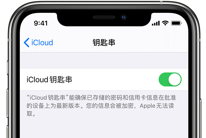 叙永苹果手机维修分享在 iPhone 上开启 iCloud 钥匙串之后会储存哪些信息 