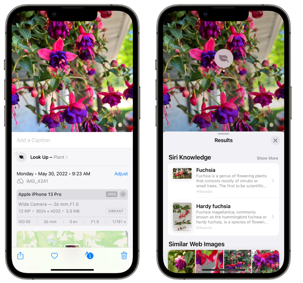 叙永苹果手机维修分享小技巧：使用 iPhone 相机识别花卉植物 