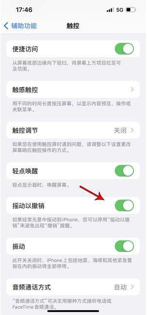 叙永苹果手机维修分享iPhone手机如何设置摇一摇删除文字 